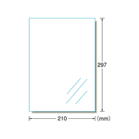エーワン PPCラベル A4 ノーカット 透明ツヤ消しフィルム 100枚 F877236-27003