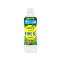 伊藤園 ニッポンエール 宮崎県産日向夏 500mL FCJ905K