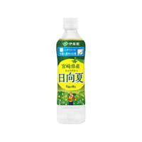 伊藤園 ニッポンエール 宮崎県産日向夏 500mL FCJ905K