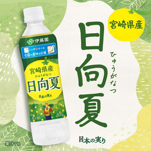 伊藤園 ニッポンエール 宮崎県産日向夏 500mL FCJ905K-イメージ2
