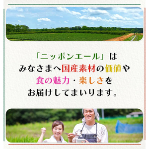 伊藤園 ニッポンエール 宮崎県産日向夏 500mL FCJ905K-イメージ6
