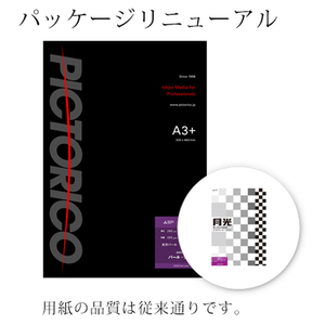 PICTORICO A3ノビ GEKKO パール・ラベル 20枚入り GKN-A3+/20-イメージ1
