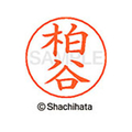 シヤチハタ ネームペン用ネーム シルバー 既製 柏谷 FC46470-X-GPS-0699