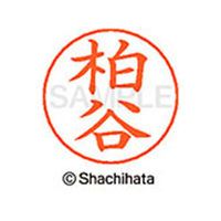 シヤチハタ ネームペン用ネーム シルバー 既製 柏谷 FC46470-X-GPS-0699
