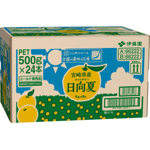 伊藤園 ニッポンエール 宮崎県産日向夏 500mL×24本 FCJ906K-イメージ2