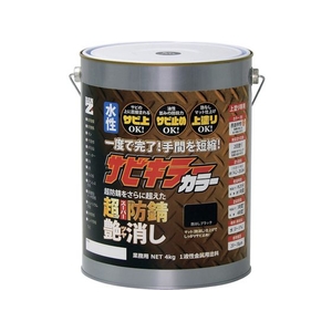 BANーZI/防錆塗料 サビキラーカラー艶消し 4kg つや消し黒 FC312XT-3700146-イメージ1