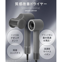 SALONIA KSAL25120-AW スムースシャインスマートドライヤー アッシュ