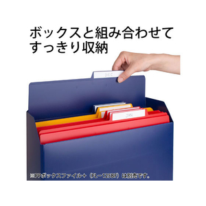 プラス PP個別フォルダー+A4E ネイビー 5P FCA8629-86-805/FL-161IF-イメージ6