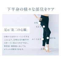 日創プラス NP-LF23BK LEG FIT NIPLUX ブラック|エディオン公式通販