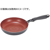 パール金属 クックサインIH対応ダイヤモンドコートフライパン20cm FC789NM-HB-5583