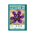 ショウワノート ジャポニカ学習帳 こくご 18マス 18マス-1冊 F820577-JL-10-2