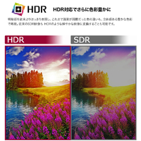 LGエレクトロニクス 29WQ600-W 29型ビジネス&ゲーミング LGエレクトロニクス 29WQ600-W 29型ビジネス&ゲーミング