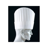 ADVANCE パリスハット 10枚入 PH-115NT 薄型 25cm FC719LY-8672900