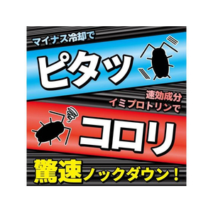 大日本除虫菊 金鳥/コックローチ ゴキブリがうごかなくなるスプレー 300mL FC840TH-イメージ3
