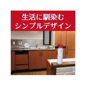 大日本除虫菊 金鳥/コックローチ ゴキブリがうごかなくなるスプレー 300mL FC840TH-イメージ5
