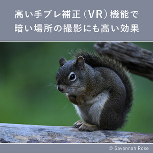 ニコン 単焦点レンズ NIKKOR Z 600mm f/6.3 VR S NZVR600F6.3-イメージ12