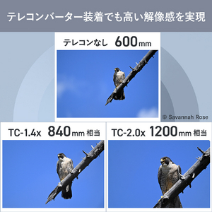 ニコン 単焦点レンズ NIKKOR Z 600mm f/6.3 VR S NZVR600F6.3-イメージ9