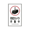 日本緑十字社 緑十字/イラストステッカー標識 防犯カメラ作動中  10枚組 FC464GT-8148548