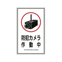 日本緑十字社 緑十字/イラストステッカー標識 防犯カメラ作動中  10枚組 FC464GT-8148548