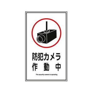 日本緑十字社 緑十字/イラストステッカー標識 防犯カメラ作動中  10枚組 FC464GT-8148548-イメージ1