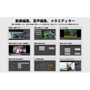 gemsoft ALL★Recorder 〈 DVD作成ソフト & メディアプレイヤー 付属 〉 ALLRECDVDｻｸﾒﾃﾞｲﾌｿﾞｸWC-イメージ9
