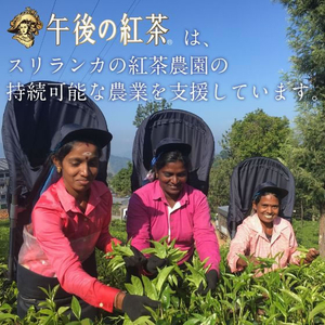 キリンビバレッジ 午後の紅茶 レモンティー 500ml×48本 FCJ090U-イメージ2