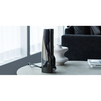 MYTREX MT-MR22B 光美容器 MiRAY ブラック|エディオン公式通販