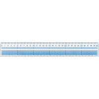 レイメイ 見やすい方眼定規 30cm FC110NJ-AJH308