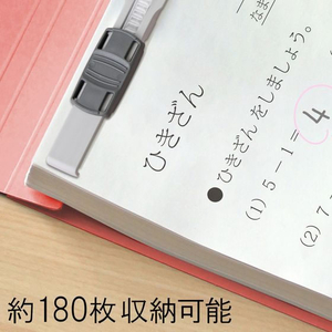 プラス フラットファイル 縦罫線タイプ B6E ピンク FCF534T-NO.052NT/98-288-イメージ2