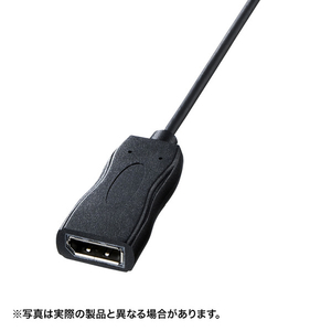 サンワサプライ USB Type C-DisplayPort変換アダプタ ブラック AD-ALCDP01-イメージ1