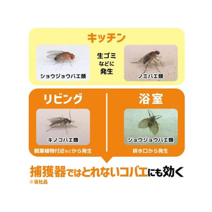 大日本除虫菊 金鳥/コバエムエンダー 80プッシュ FC842TH-イメージ4