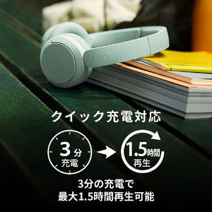 SONY ワイヤレスステレオヘッドセット コーラル WH-CH530 R-イメージ11