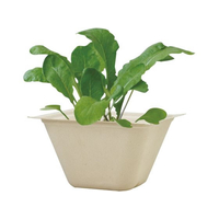 聖新陶芸 バガスグリーン ラディッシュ FCE049W-93230