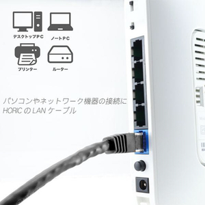 ホーリック LANケーブル UTP カテゴリー6A 15m ブラック LC150-137RB-イメージ2