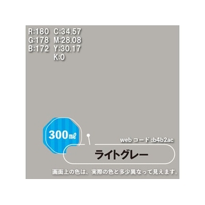 カンペハピオ 水性シリコンカラースプレー ライトグレー 300ml FCB310M-イメージ3