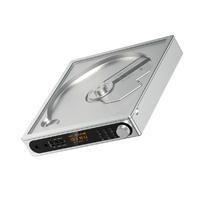 FIIO DM15 R2R シルバー FIO-DM15R-S