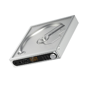FIIO DM15 R2R シルバー FIO-DM15R-S-イメージ1