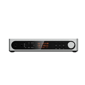 FIIO DM15 R2R シルバー FIO-DM15R-S-イメージ2
