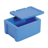 三甲 サンコー サンコールドボックス #20 FC858LM-4862400