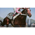 コーエーテクモゲームス Winning Post 10 2026【PS5】 ELJM30855-イメージ6