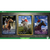 コーエーテクモゲームス Winning Post 10 2026【PS5】 ELJM30855-イメージ7