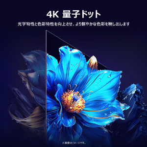 TCL 50V型4Kチューナー内蔵4K対応液晶テレビ e angle select 50P79K-イメージ8