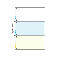 ヒサゴ マルチプリンタ帳票 A4 カラー 3面 6穴 100枚 FC91408-FSC2080