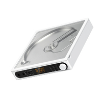 FIIO DM15 R2R ホワイト FIO-DM15R-W