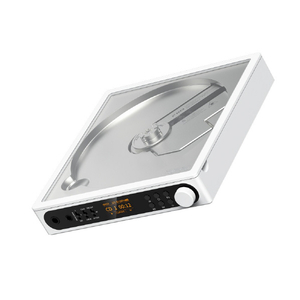 FIIO DM15 R2R ホワイト FIO-DM15R-W-イメージ1