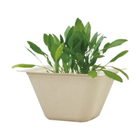 聖新陶芸 バガスグリーン サラダホウレンソウ FCE052W-93233