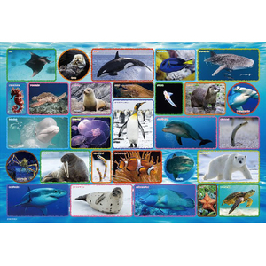 ビバリー 水族館 BV100042ｽｲｿﾞｸｶﾝ-イメージ1