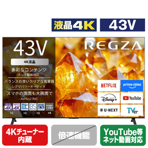 TVS REGZA 4K対応液晶テレビ 43E350S-イメージ1