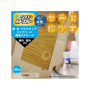 カンペハピオ 水性シリコンカラースプレー つや消しとうめい 300ml FCB313M-イメージ2