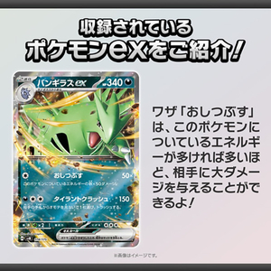 ポケモン ポケットモンスター ポケモンカードゲーム スカーレット&バイオレット スタートデッキGenerations ルギアex･バンギラスex ﾎﾟｹﾓﾝSVﾃﾞﾂｷGﾙｷﾞｱﾊﾞﾝｷﾞﾗｽ-イメージ3